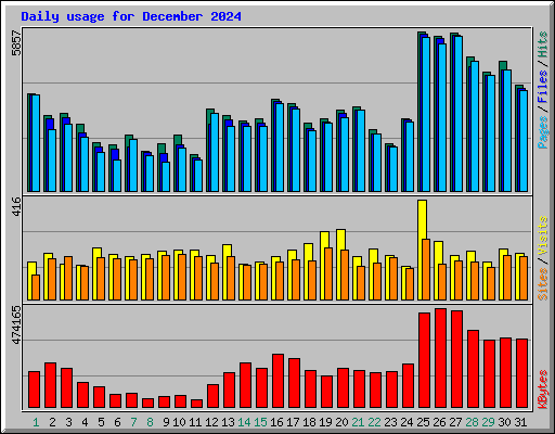 Daily usage for December 2024