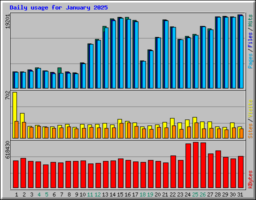 Daily usage for January 2025