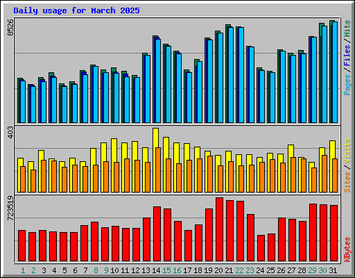 Daily usage for March 2025
