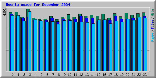 Hourly usage for December 2024