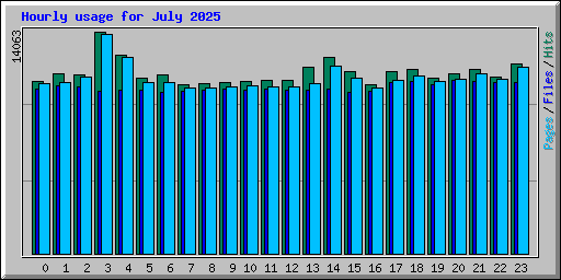 Hourly usage for July 2025